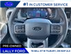 2025 Ford F-150 XLT (Stk: LFFF00563) in Tilbury - Image 13 of 18