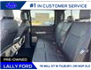 2025 Ford F-150 XLT (Stk: LFFF00563) in Tilbury - Image 18 of 18