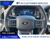 2025 Ford F-150 XLT (Stk: LFFF01212) in Tilbury - Image 11 of 15