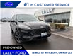 2022 Ford Escape SE (Stk: LFEP01277A) in Tilbury - Image 1 of 17