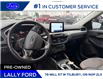 2022 Ford Escape SE (Stk: LFEP01277A) in Tilbury - Image 12 of 17