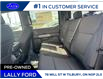 2025 Ford F-150 XLT (Stk: LFFF01263) in Tilbury - Image 15 of 15