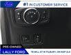 2019 Ford F-250 Lariat (Stk: LF27915P) in Tilbury - Image 8 of 24