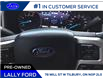 2019 Ford F-250 Lariat (Stk: LF27915P) in Tilbury - Image 11 of 24