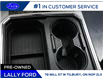 2019 Ford F-250 Lariat (Stk: LF27915P) in Tilbury - Image 13 of 24