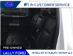 2019 Ford F-250 Lariat (Stk: LF27915P) in Tilbury - Image 14 of 24