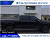 2026 Ford F-250 Platinum (Stk: LF02023P) in Tilbury - Image 2 of 18