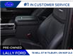 2026 Ford F-250 Platinum (Stk: LF02023P) in Tilbury - Image 7 of 18