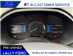 2024 Ford Edge SEL (Stk: LFFF01041C) in Tilbury - Image 10 of 15
