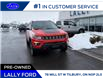 2018 Jeep Compass Trailhawk (Stk: LFEX01577A) in Tilbury - Image 1 of 15