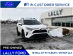 2019 Toyota RAV4 XLE (Stk: LFFF01200B) in Tilbury - Image 1 of 15