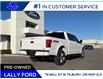 2019 Ford F-150 Lariat (Stk: LFFF01705A) in Tilbury - Image 3 of 15