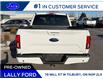 2019 Ford F-150 Lariat (Stk: LFFF01705A) in Tilbury - Image 4 of 15