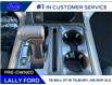 2026 Ford F-150 XLT (Stk: LFFF01593) in Tilbury - Image 14 of 15