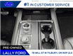 2023 Ford Expedition Max Platinum (Stk: LFED01625A) in Tilbury - Image 14 of 15