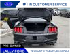 2023 Ford Mustang GT Premium (Stk: LFEP01310A) in Tilbury - Image 5 of 14 2023 Ford Mustang GT Premium (Stk: LFEP01310A) in Tilbury - Image 5 of 14