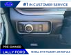 2023 Ford Explorer Platinum (Stk: LF01126P) in Tilbury - Image 9 of 15