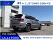 2017 Jeep Grand Cherokee Limited (Stk: LF01127P) in Tilbury - Image 3 of 14