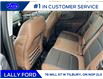 2022 Ford Bronco Sport Badlands (Stk: BR29184) in Tilbury - Image 15 of 15