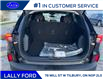 2025 Ford Escape Active (Stk: LFEP00709) in Tilbury - Image 5 of 15