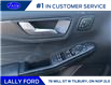 2025 Ford Escape Active (Stk: LFEP00709) in Tilbury - Image 6 of 15
