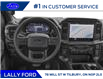 2024 Ford F-150 STX (Stk: SFF8026) in Tilbury - Image 4 of 12