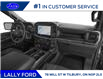 2024 Ford F-150 STX (Stk: SFF8026) in Tilbury - Image 11 of 12