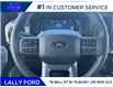 2025 Ford F-150 Lariat (Stk: LFFF00211) in Tilbury - Image 11 of 15