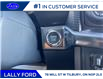 2025 Ford F-150 Lariat (Stk: LFFF00211) in Tilbury - Image 12 of 15