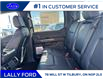 2025 Ford F-150 Lariat (Stk: LFFF00211) in Tilbury - Image 15 of 15