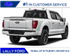 2025 Ford F-150 Platinum (Stk: LFFF00533) in Tilbury - Image 3 of 12