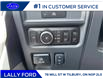 2025 Ford F-150 XLT (Stk: LFFF00458) in Tilbury - Image 9 of 15