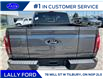 2025 Ford F-150 Lariat (Stk: LFFF00541) in Tilbury - Image 4 of 15