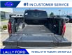 2025 Ford F-150 Lariat (Stk: LFFF00541) in Tilbury - Image 5 of 15