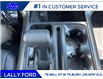 2025 Ford F-150 Lariat (Stk: LFFF00541) in Tilbury - Image 14 of 15