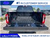 2025 Ford F-250 Platinum (Stk: LFFF00478) in Tilbury - Image 5 of 15