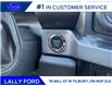 2025 Ford F-250 Platinum (Stk: LFFF00478) in Tilbury - Image 12 of 15