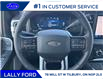 2025 Ford F-250 Platinum (Stk: LFFF00478) in Tilbury - Image 11 of 15