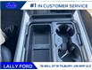 2025 Ford F-250 Platinum (Stk: LFFF00478) in Tilbury - Image 14 of 15