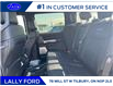 2025 Ford F-250 Platinum (Stk: LFFF00478) in Tilbury - Image 15 of 15