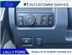 2025 Ford F-250 Platinum (Stk: LFFF00478) in Tilbury - Image 9 of 15