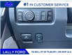 2025 Ford F-350 Platinum (Stk: LFFF00556) in Tilbury - Image 9 of 16
