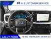 2025 Ford F-250 XLT (Stk: LFFF00873) in Tilbury - Image 4 of 12