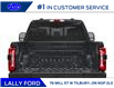 2025 Ford F-250 XLT (Stk: LFFF00873) in Tilbury - Image 8 of 12