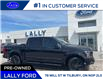 2020 Ford F-150  (Stk: 28235A) in Tilbury - Image 3 of 21