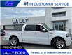 2008 Ford F-150 Lariat (Stk: 8917) in Tilbury - Image 3 of 25
