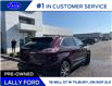 2019 Ford Edge Titanium (Stk: 8078) in Tilbury - Image 5 of 23