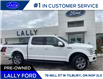 2019 Ford F-150 Lariat (Stk: 28178A) in Tilbury - Image 3 of 23