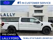 2024 Ford F-150 XLT (Stk: LFFF00243) in Tilbury - Image 2 of 15