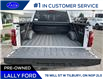 2024 Ford F-150 XLT (Stk: LFFF00243) in Tilbury - Image 5 of 15
